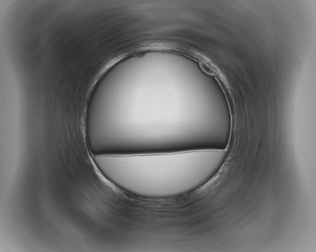 X0000116681433200912140956
