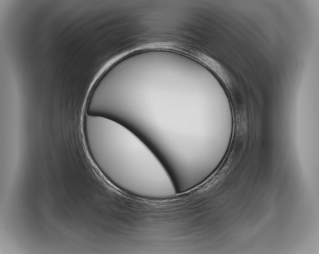 X0000116681436200912140956