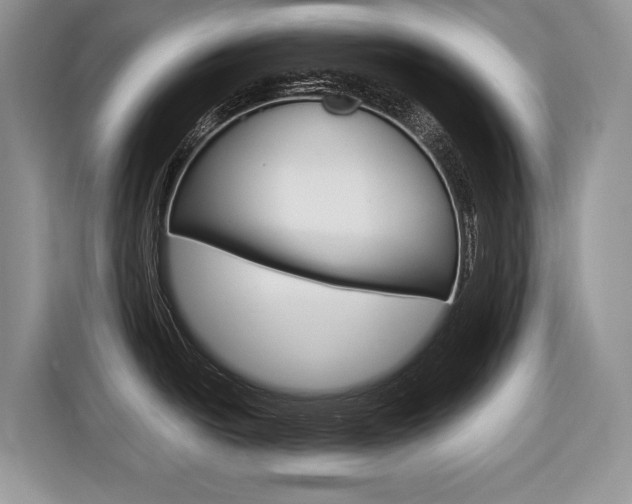 X0000116681438200912140956