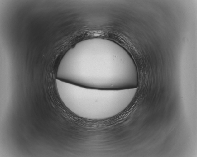 X0000116681442200912140956