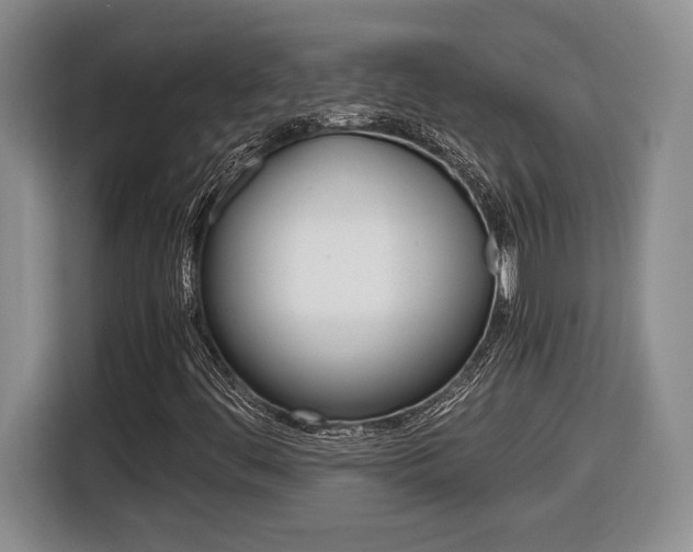 X0000116681444200912140956