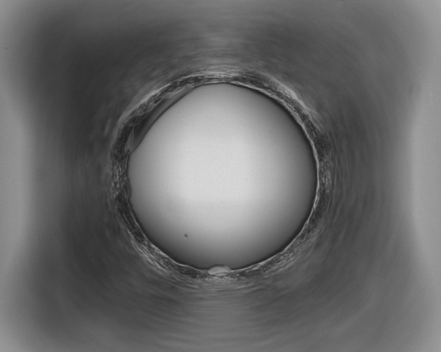 X0000116681448200912140956