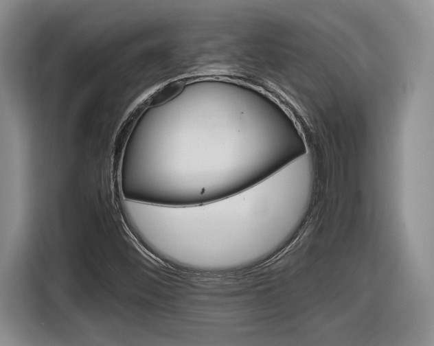 X0000116681452200912140956
