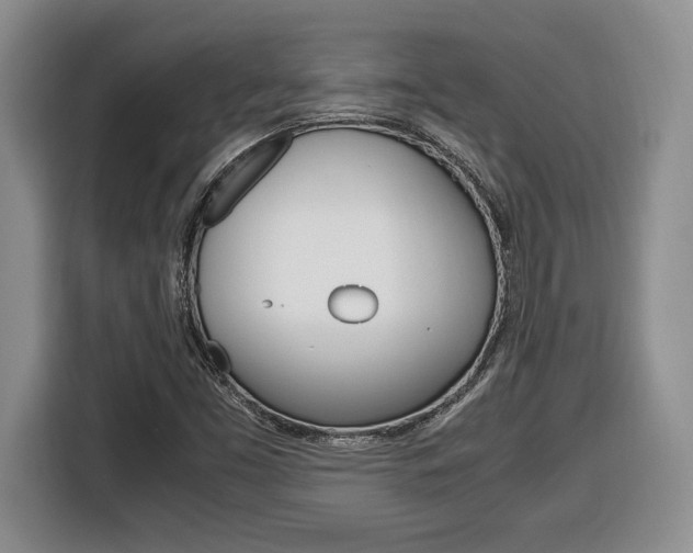 X0000116681453200912140956