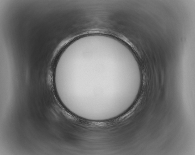 X0000116681454200912140956