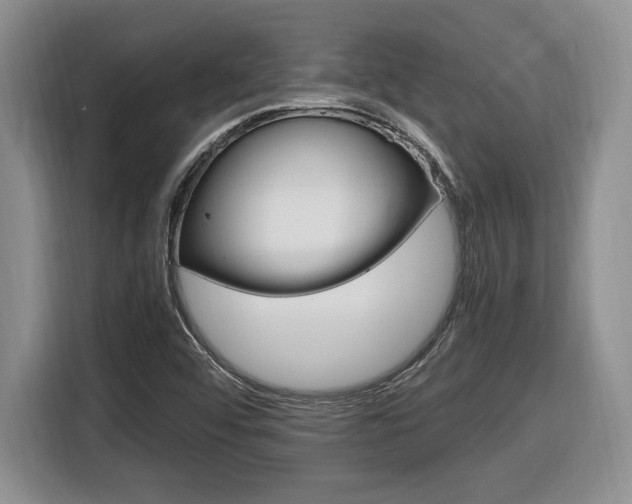 X0000116681456200912140956