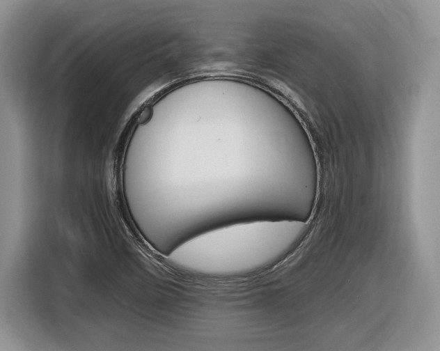 X0000116681458200912140956