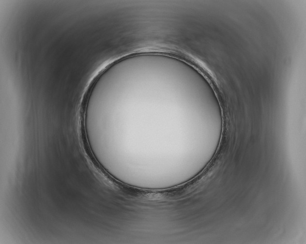 X0000116681463200912140955