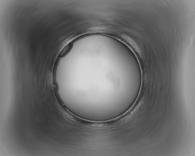 X0000116681465200912140955