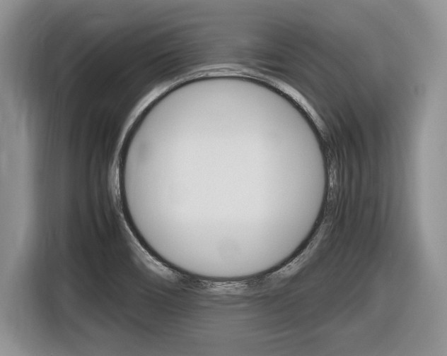 X0000116681466200912140955