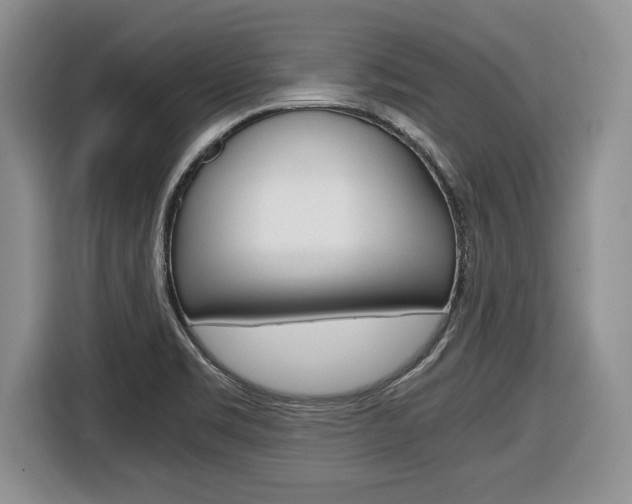 X0000116681469200912140955