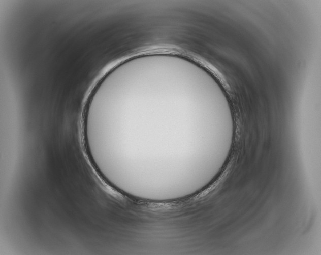 X0000116681470200912140955