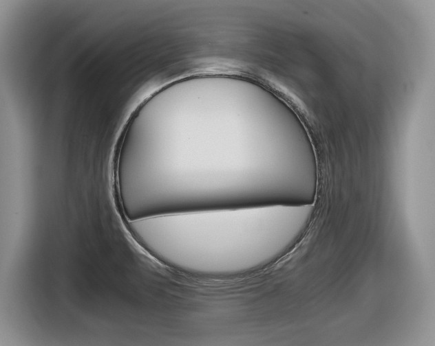 X0000116681471200912140955