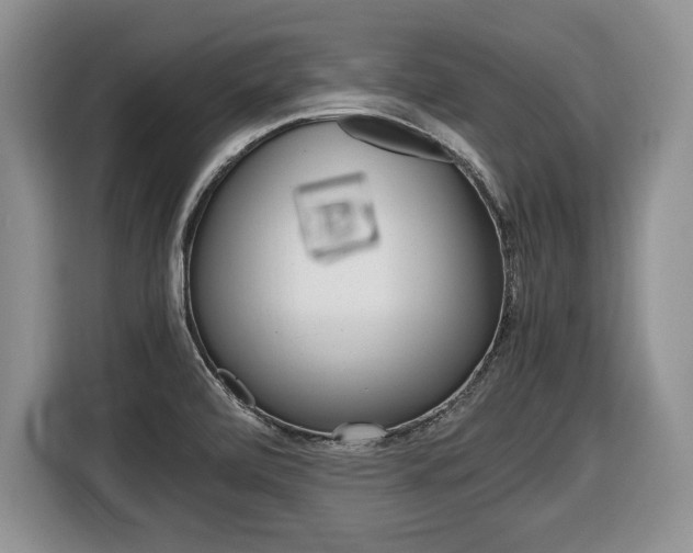 X0000116681472200912140955