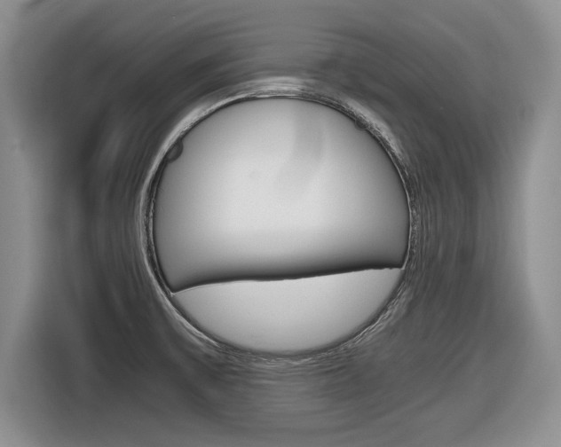 X0000116681475200912140955