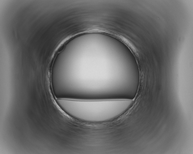 X0000116681476200912140955