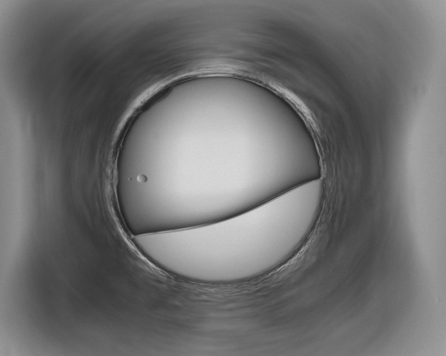X0000116681477200912140955