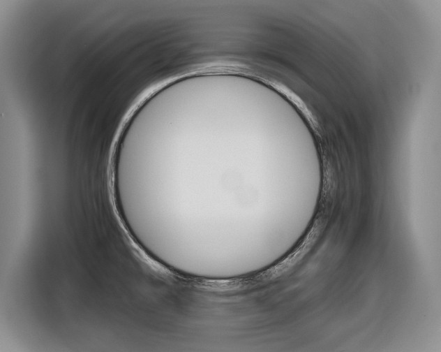 X0000116681478200912140955