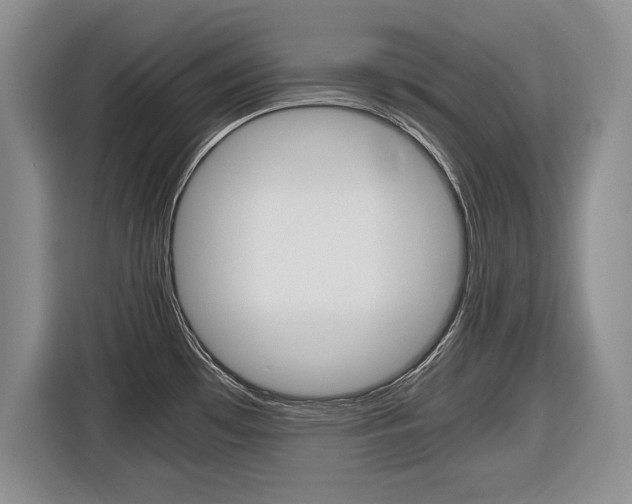 X0000116681481200912140955
