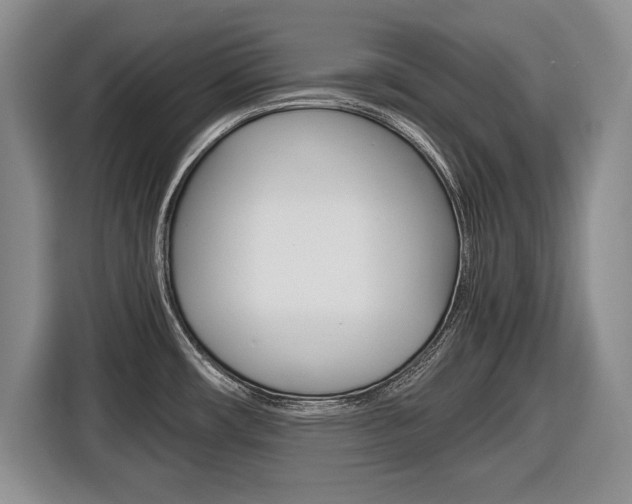 X0000116681482200912140955
