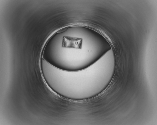 X0000116681484200912140955