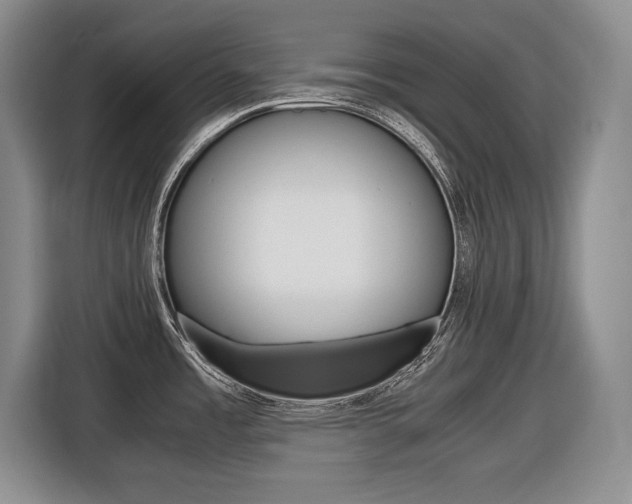 X0000116681485200912140955