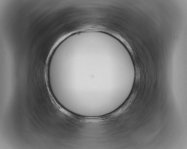 X0000116681486200912140955