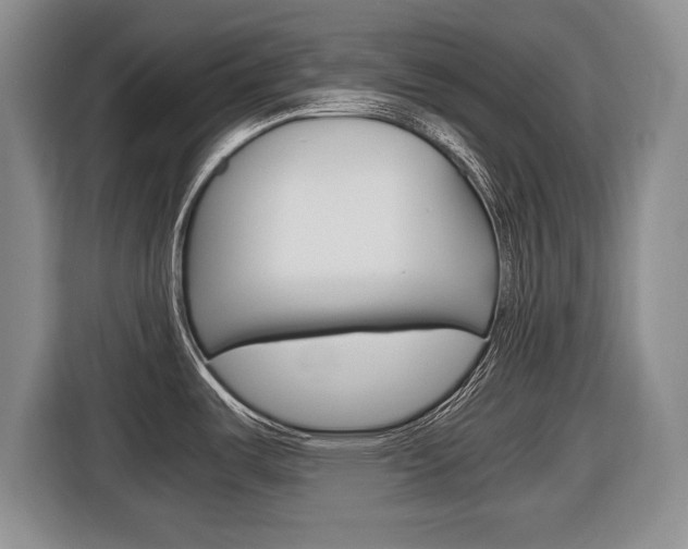 X0000116681487200912140955