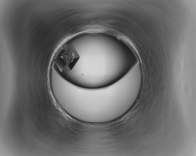 X0000116681488200912140955