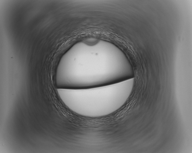 X0000116681489200912140954