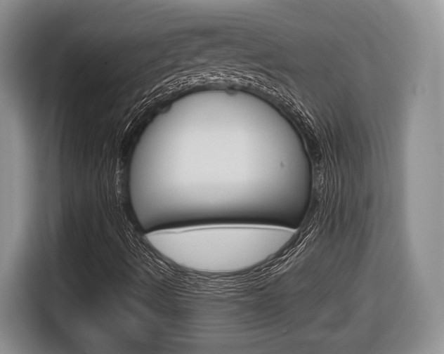 X0000116681490200912140955