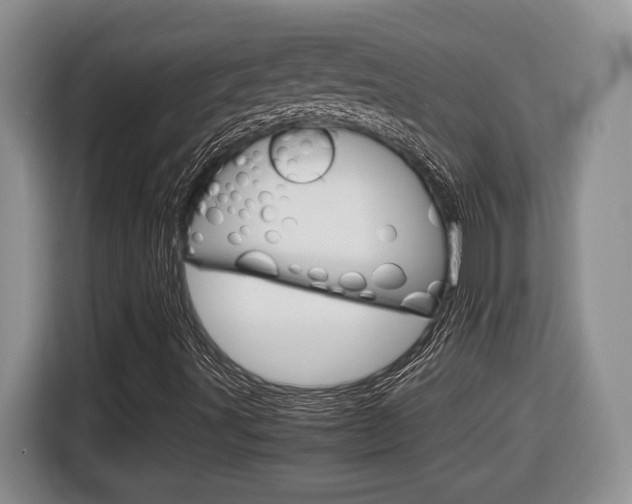 X0000116681491200912140955