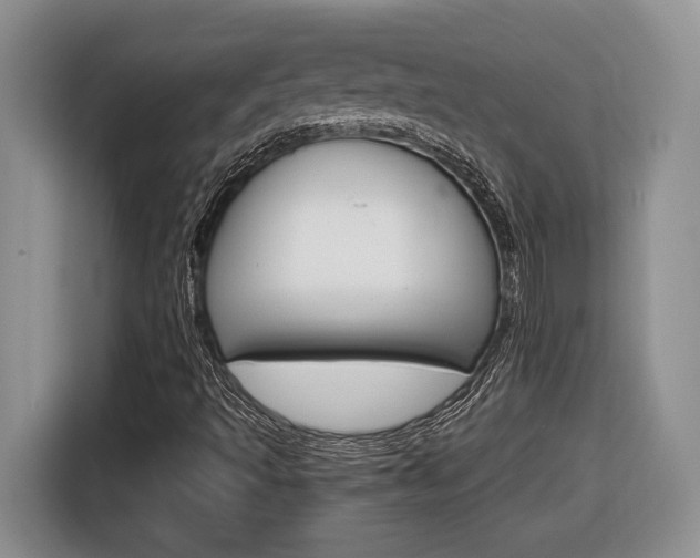 X0000116681493200912140955