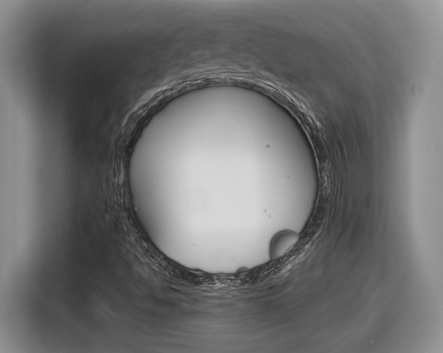 X0000116681494200912140955