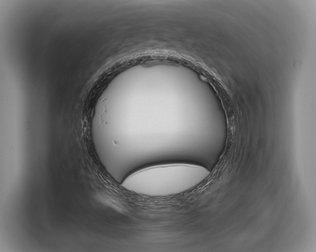 X0000116681495200912140955