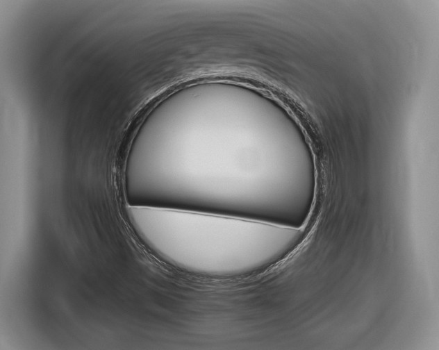 X0000116681497200912140955