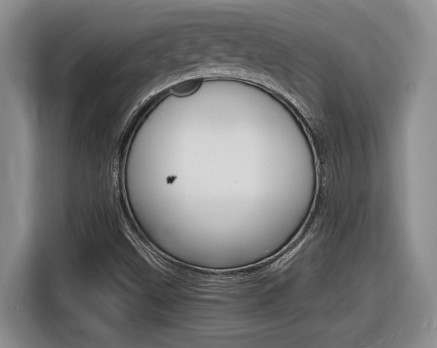 X0000116681499200912140955