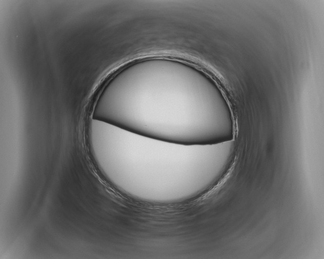 X0000116681501200912140955