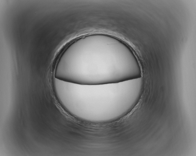 X0000116681503200912140955