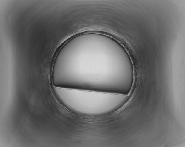 X0000116681505200912140955