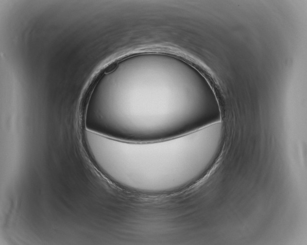 X0000116681506200912140955