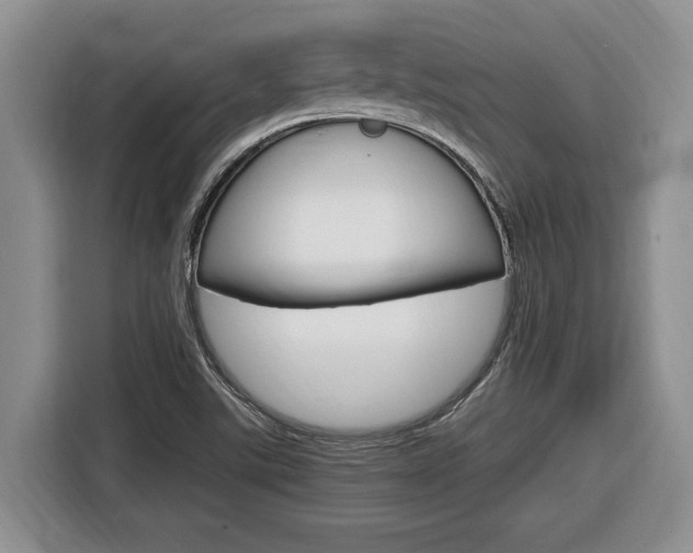 X0000116681507200912140955