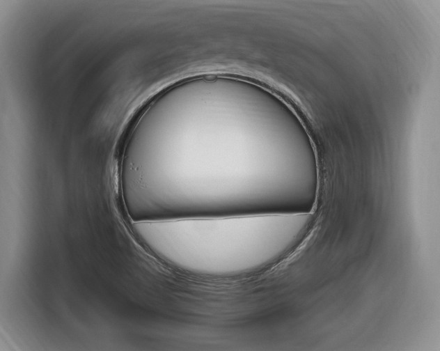 X0000116681509200912140955