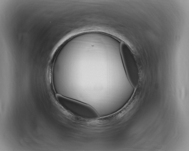 X0000116681510200912140955