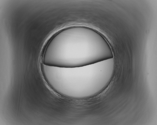 X0000116681511200912140955