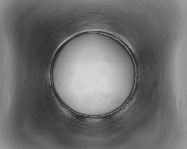 X0000116681513200912140955