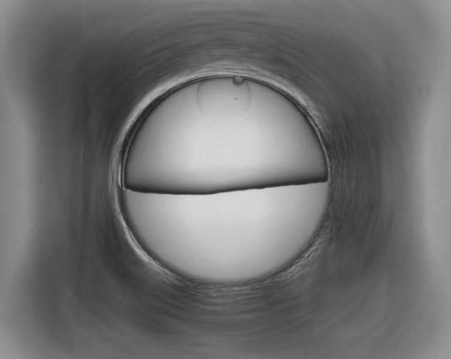 X0000116681515200912140955
