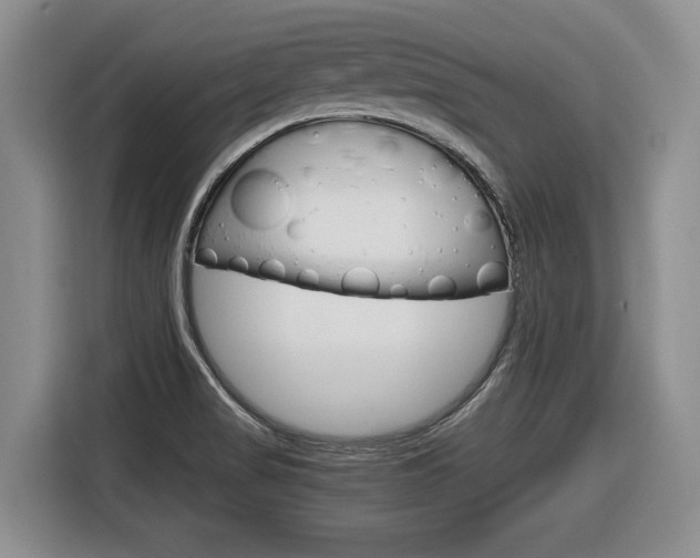 X0000116681517200912140955