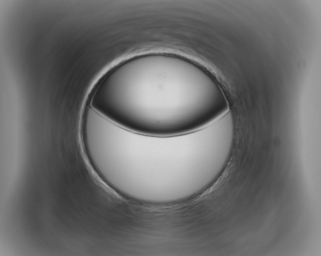 X0000116681518200912140955