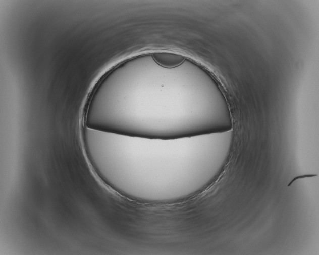 X0000116681519200912140955